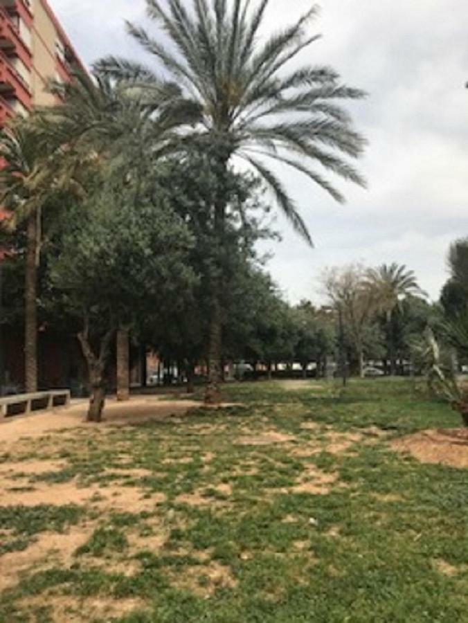Apartmán Doctor Oloriz,31,9 Valencie Exteriér fotografie